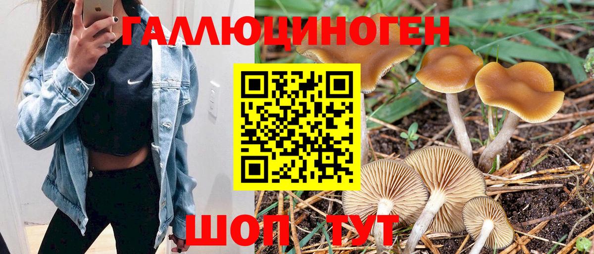 Псилоцибиновые грибы ЛСД  Псилоцибиновые грибы GOLDEN TEACHER  Донской  Вход с VPN 