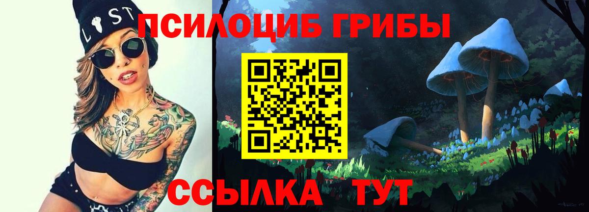 Псилоцибиновые грибы ЛСД Донской